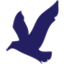 airline-image