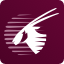 airline-image