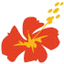 airline-image